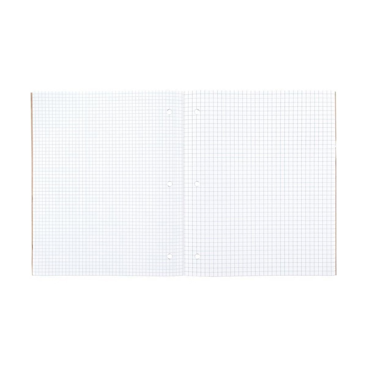 Perforated Graphing Grid Paper - Paper Punch 3 Hole ulasan dan harga